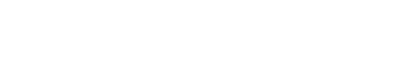 funDEM